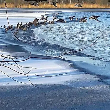 Am Schaalsee فندق Zarrentin am Schaalsee