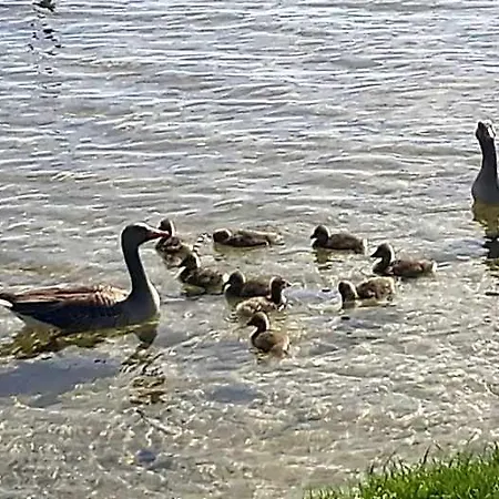 فندق Am Schaalsee Zarrentin am Schaalsee