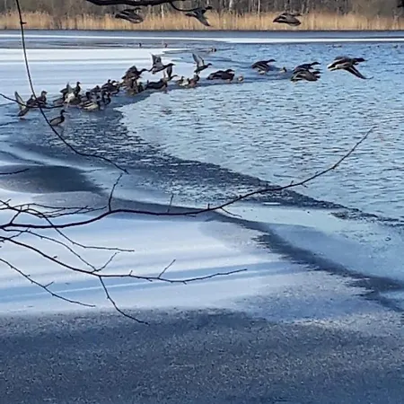 Am Schaalsee ホテル