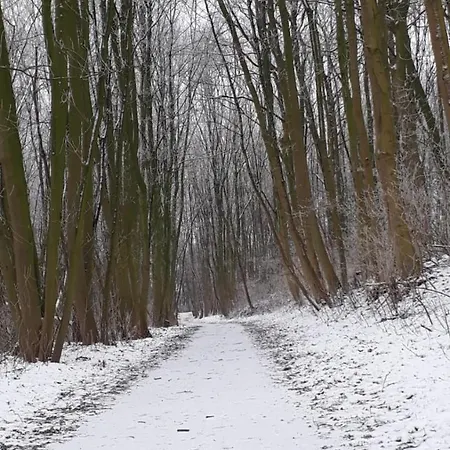 Am Schaalsee ホテル Zarrentin am Schaalsee
