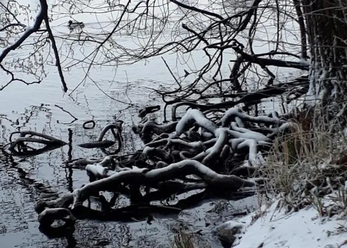 Szálloda Am Schaalsee